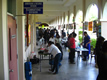 July Batch Foundation 2005 Biology Fair