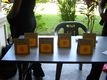 July Batch Foundation 2005 Biology Fair