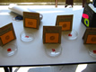 July Batch Foundation 2005 Biology Fair